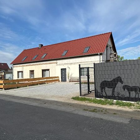 Apartament W Diamonds Ranch Grossraeschen Zewnętrze zdjęcie